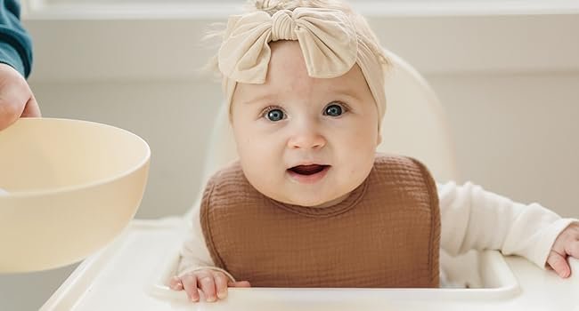 Baby Bandana Drool Bibs